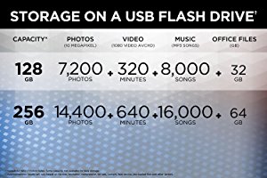 Multiple capacity options for different storage needs